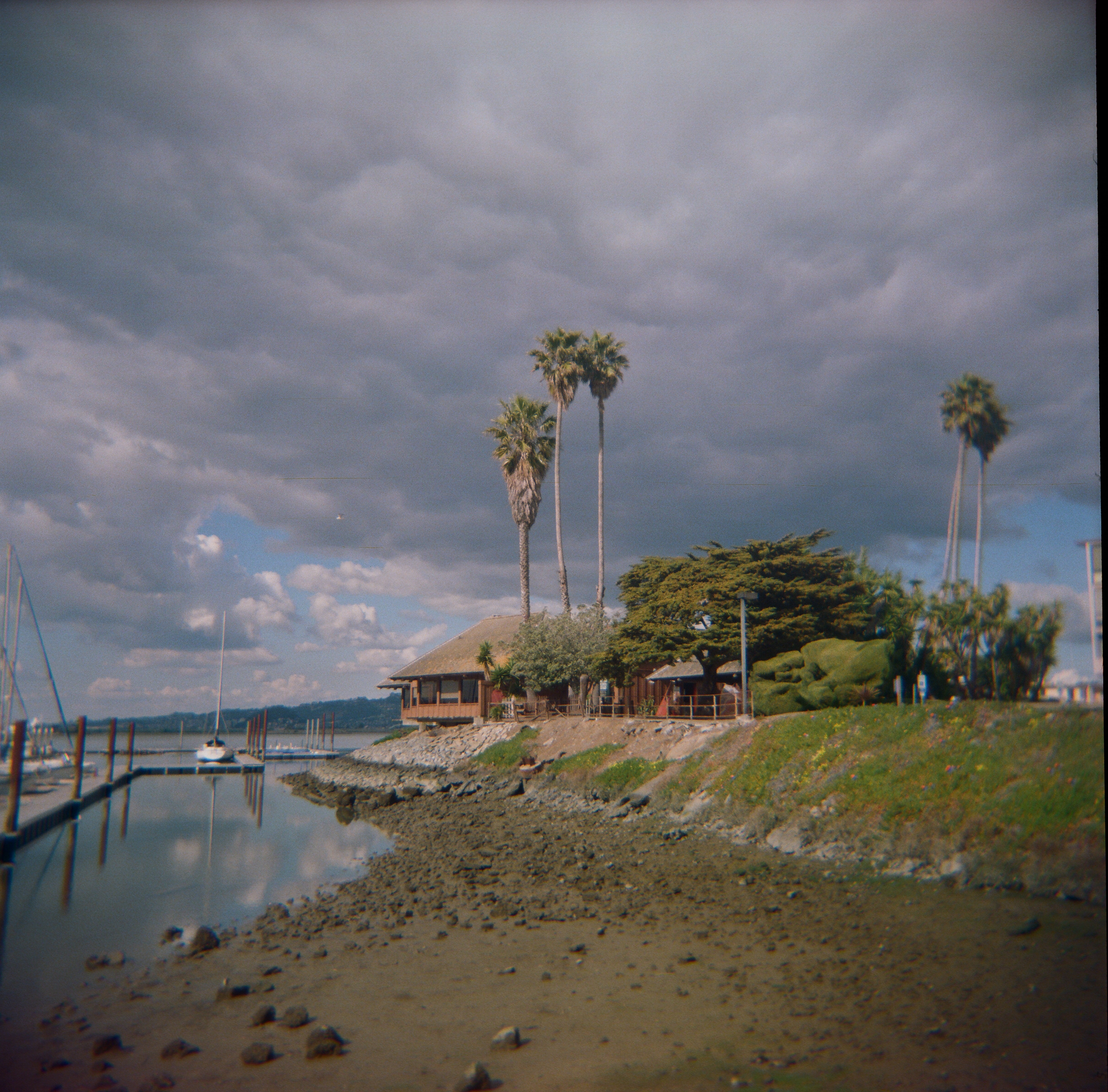 A film photograph of the shoreline near Trader Vic’s with palm trees, water, and dramatic clouds.
